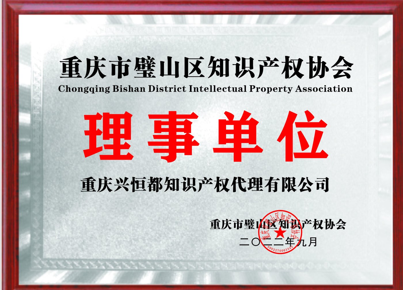 璧山区知识产权协会理事单位